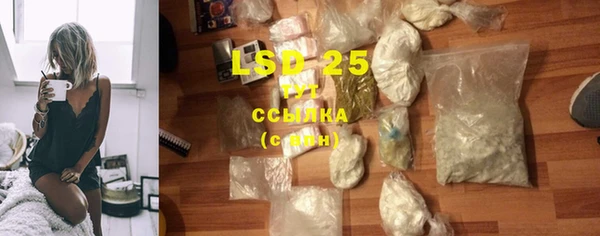 индика Протвино