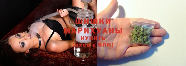 амф Приозерск