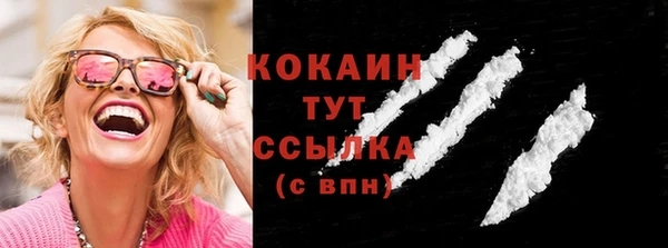 индика Протвино